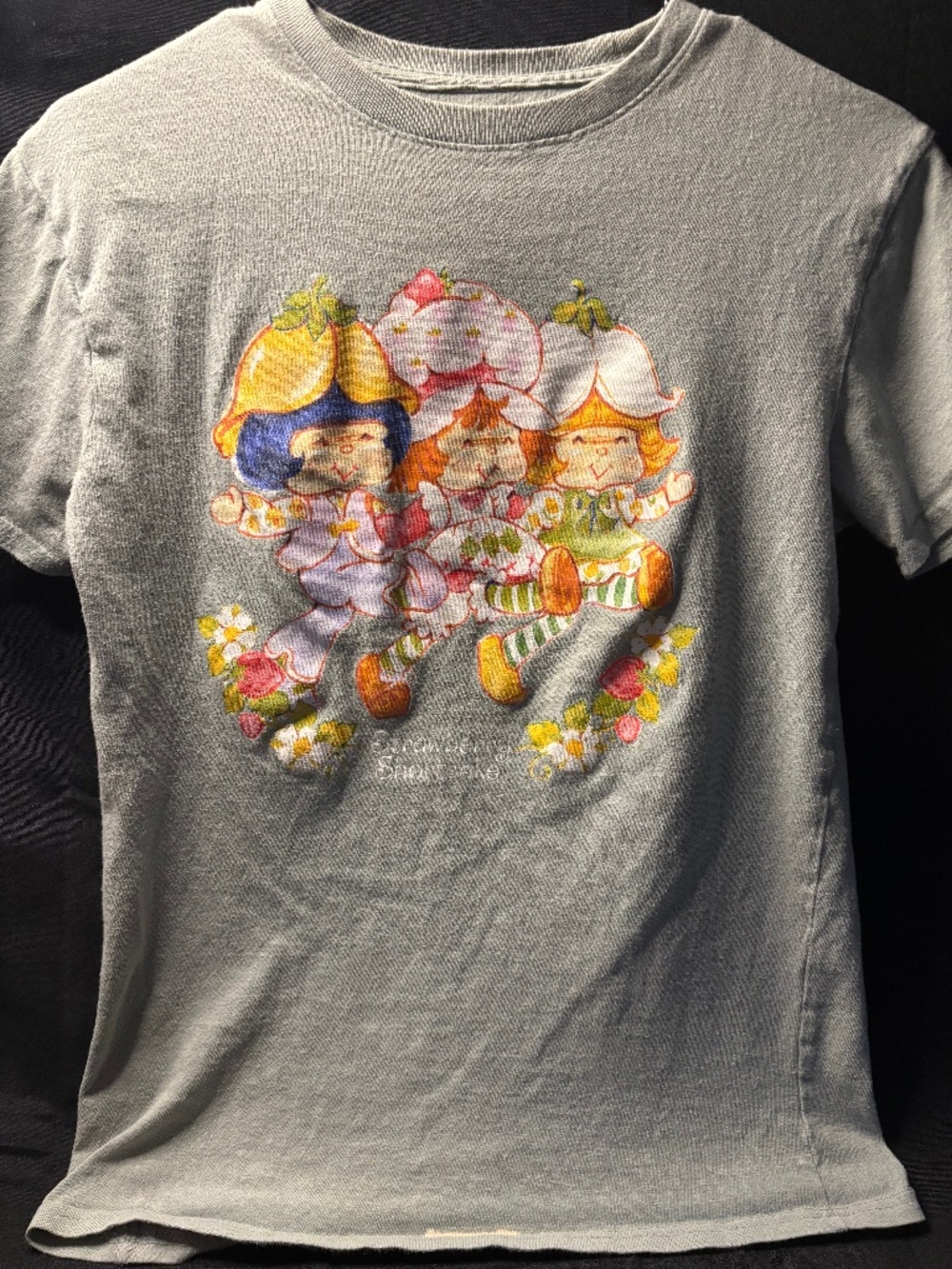 Strawberry Shortcake 2022 Retro Graphic Baby Tee Gray Women’s Small Y2K Style.